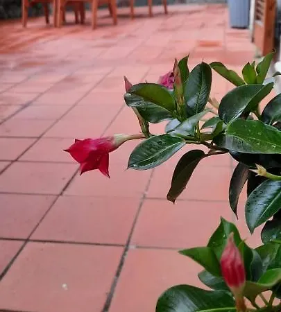 Comodo Per Lerici E 5 Terre *