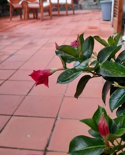 Comodo Per Lerici E 5 Terre *